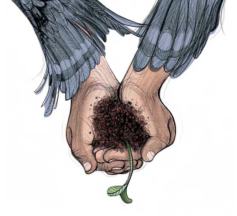 Two hands cupping soil with a sprouting seedling