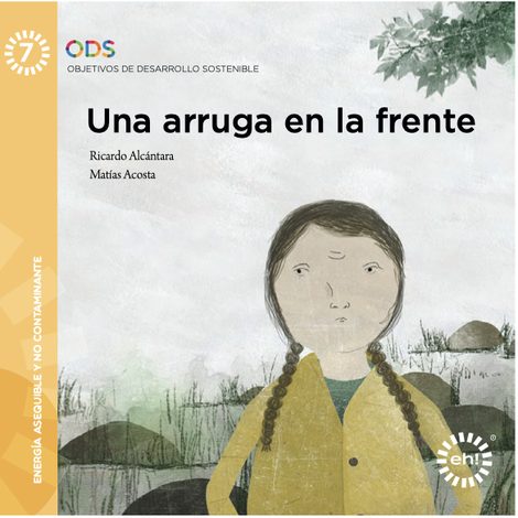 Portada de Un Ceño Fruncido